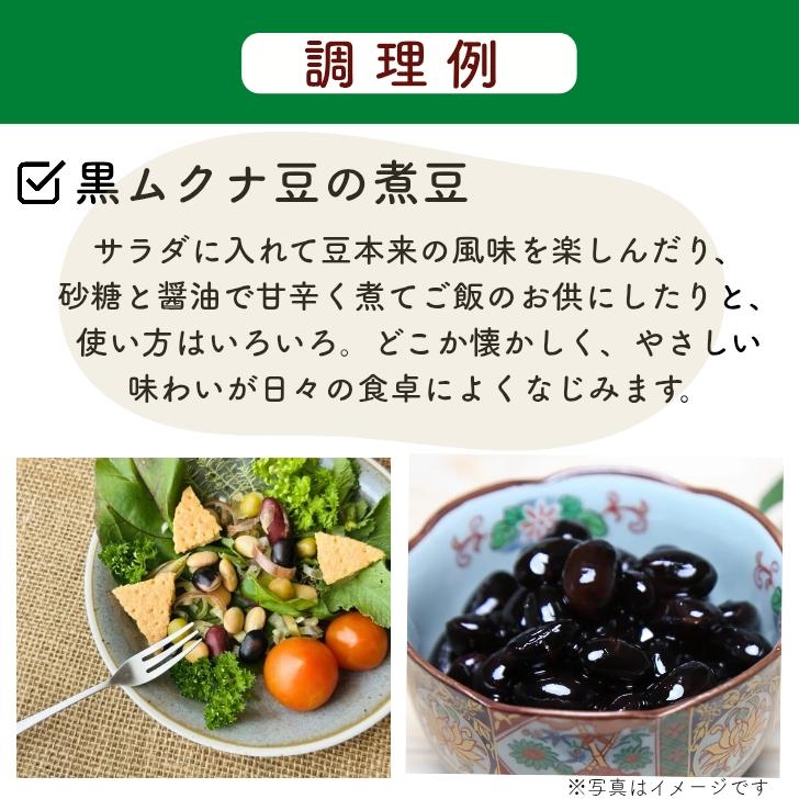 モザンビーク産 黒ムクナ豆 500g 【 送料無料 】残留農薬検査済 乾燥 Mucuna ムクナ 八升豆 チャック付 スーパーフード 生ムクナ ...
