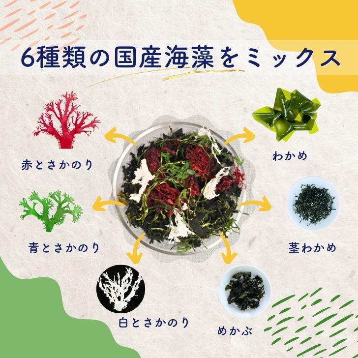 6種類 の 国内産 海藻 サラダ 50g 乾燥 ミックス 【 送料無料 】 国産