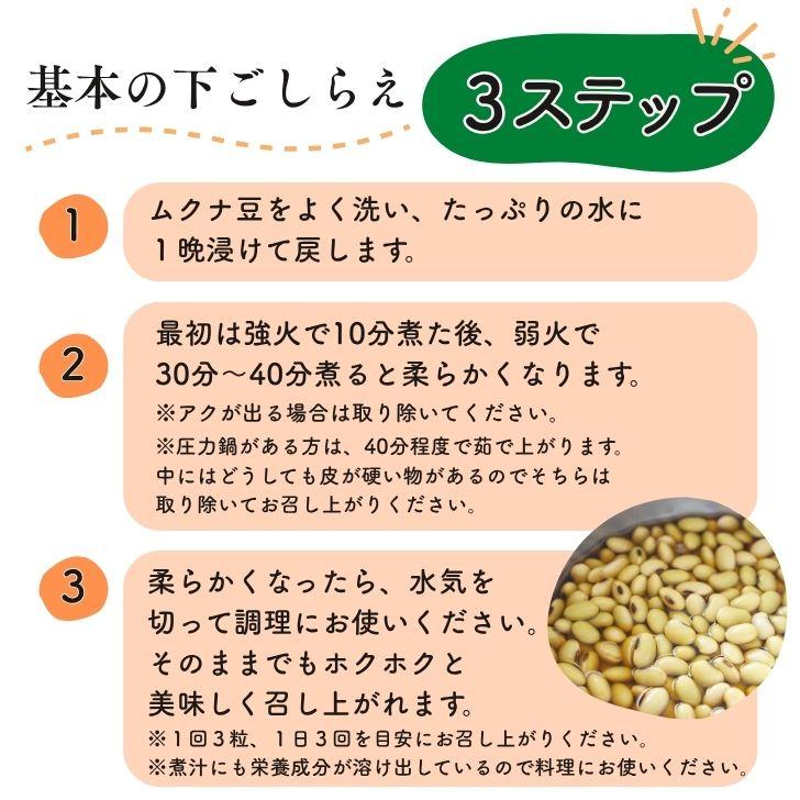 熊本産 乾燥 ムクナ豆 500g 【 送料無料 】 国産 栽培時農薬不使用