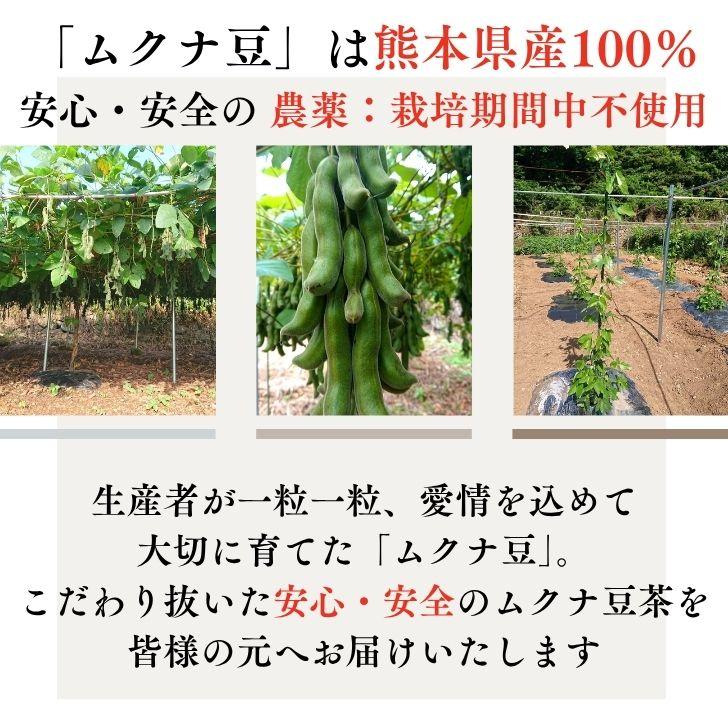 熊本産 焙煎 ムクナ豆 茶（ 八升豆茶 ) 3g×18包入【 お得 な 4袋 セット 】 Mucuna ムクナ 自然栽培 ノンカフェイン 無添加 国産 健康茶 ティーバッグ |  | 01