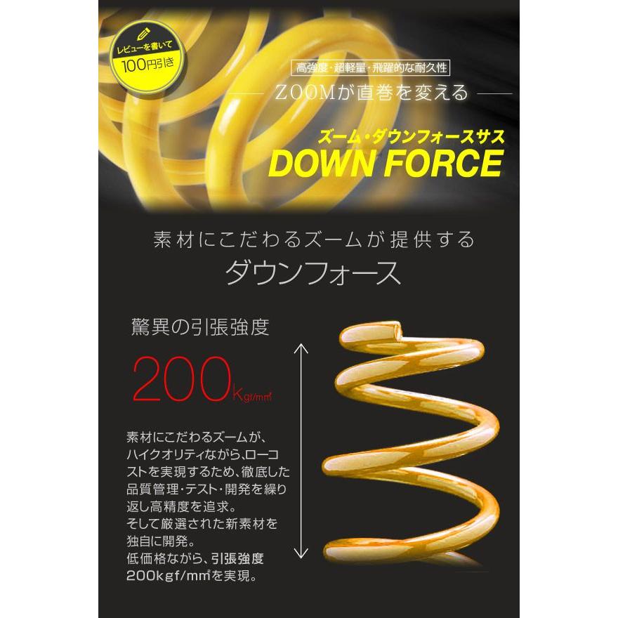 ダウンサス 日産 デイズルークス B21A 3B20 4WD H26/4〜 1台分・前後