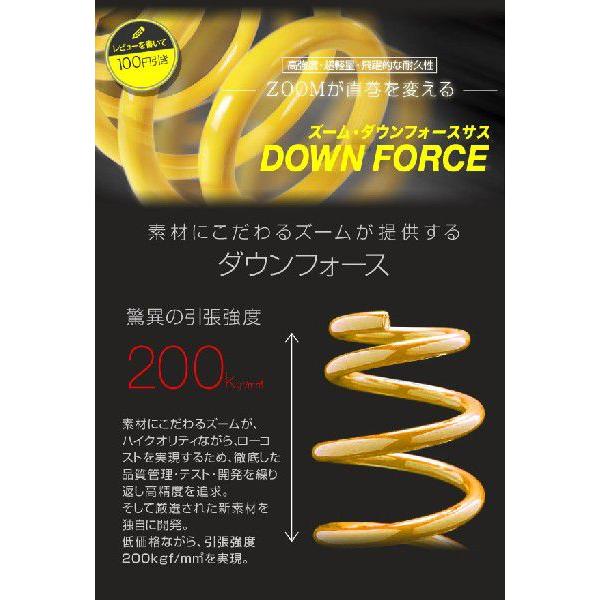 ZOOM ダウンフォース ダウンサス TOYOTA ダウンサス トヨタ エスティマエミーナ TCR10G 2TZ-FE 2WD 2.4L H4/1