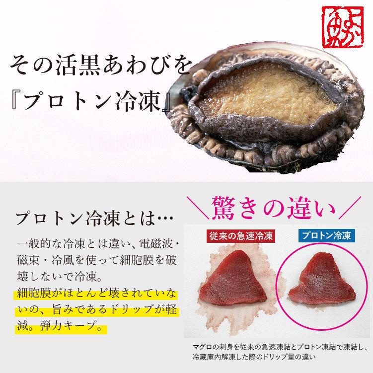 プロトン冷凍 長崎産天然黒あわび 特大200g以上 1枚 黒アワビ プロトン冷凍 長崎産天然黒あわび 特大200g以上 1枚 黒アワビ