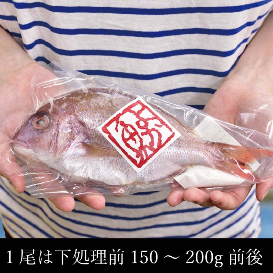ご自宅用 長崎産天然真鯛4尾 下処理済 急速冷凍済 煮付けに 焼き魚に 内食まとめ買い よか魚丸得 Hc 005 よか魚 Com 通販 Yahoo ショッピング
