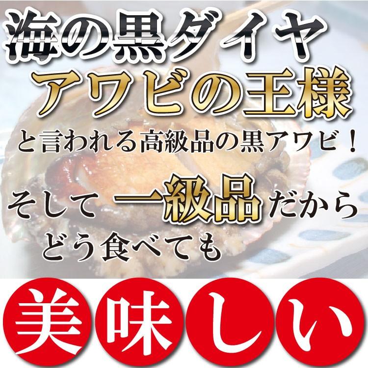 24年12月29日よりお届け予定】超特大黒アワビ 500g前後1枚 送料 24年12月29日よりお届け予定】超特大黒アワビ 500g前後1枚 送料