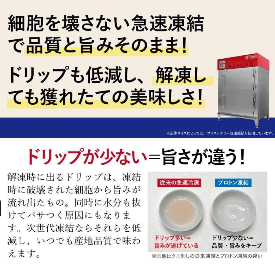 母の日 ギフト 長崎産天然クエ鍋1〜2人前 クエ 計300g前後 クエだしの素 クエ鍋セット クエ鍋 天然 クエ鍋用 1人前 2人前 お取り寄せ 海鮮 あすつく｜yokasakana｜16