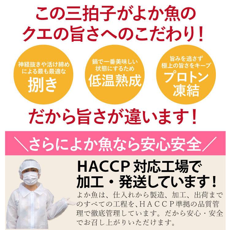 13年連続1位 長崎産天然クエ鍋2 3人前 クエ 計550ｇ前後 クエスープ又はクエだしの素付き くえ鍋は専門店で Kue001 よか魚 Com 通販 Yahoo ショッピング