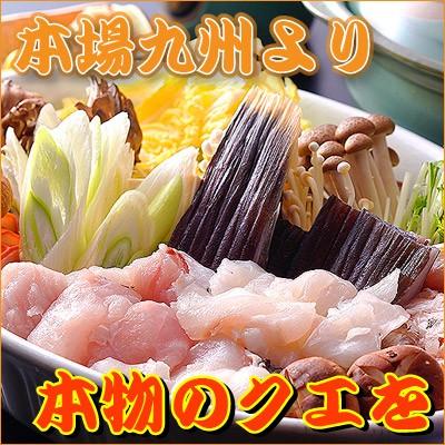 くえ 九絵 クエ 鍋 くえ（クエ）鍋　天然くえ
