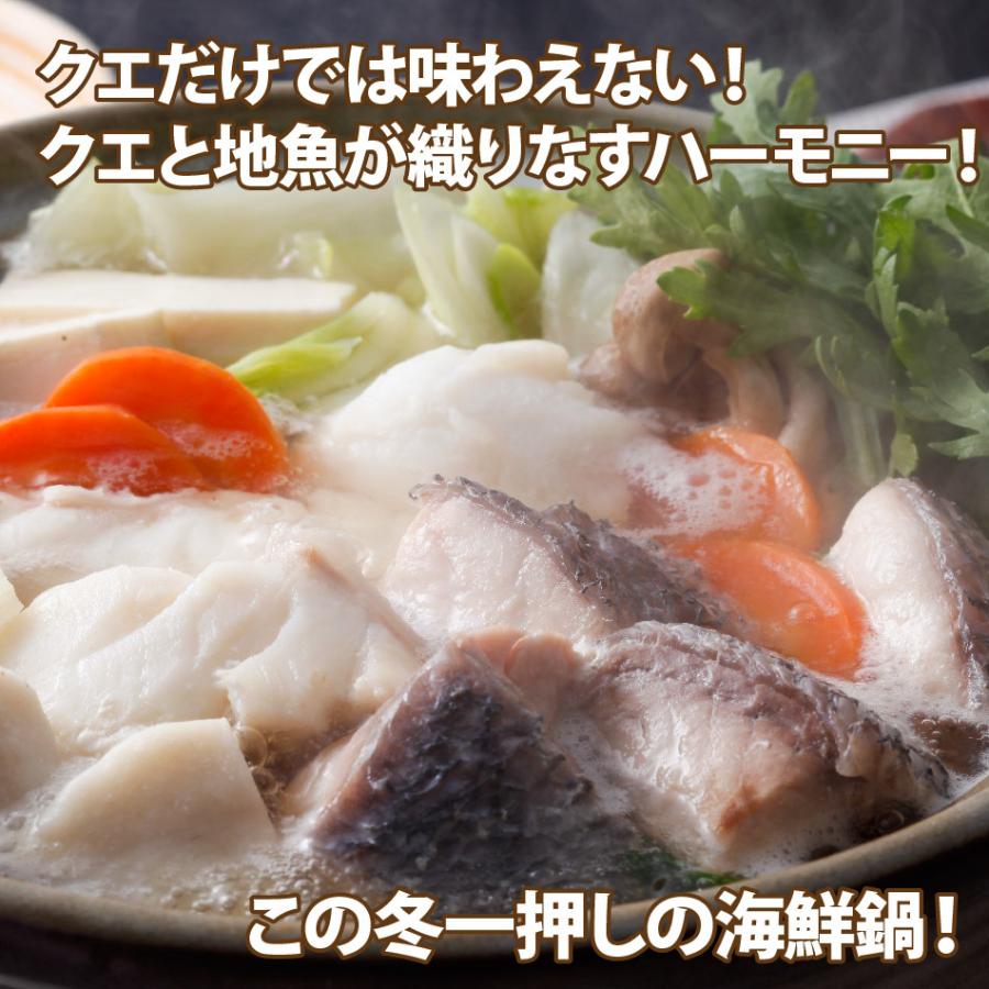長崎産天然クエと漁師地魚鍋セット 3人前 クエ専門店 長崎の小さな離島の漁師一押し地魚をご一緒に Kuejizakana01 よか魚 Com 通販 Yahoo ショッピング