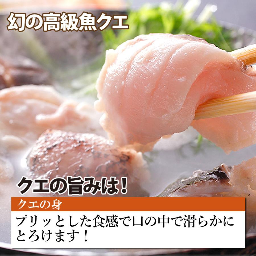長崎産天然クエと漁師地魚鍋セット 3人前 クエ専門店 長崎の小さな離島の漁師一押し地魚をご一緒に よか魚丸得 Kuejizakana01 よか魚 Com 通販 Yahoo ショッピング