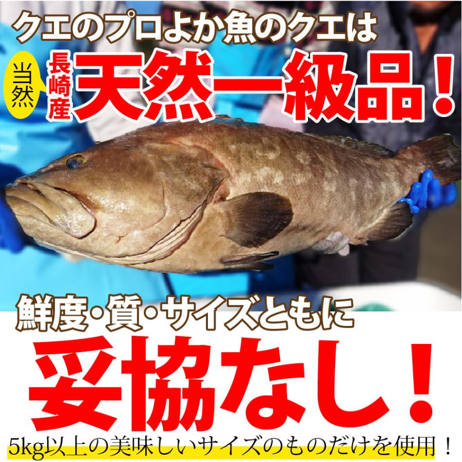 父の日 ギフト 長崎産天然クエと漁師地魚鍋セット3人前 クエだしの素付き クエ鍋セット クエ鍋 天然 クエ鍋用 鍋セット クエ お取り寄せグルメ 鍋 海鮮鍋｜yokasakana｜06