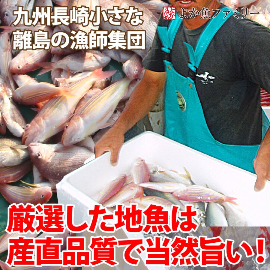 母の日 ギフト 長崎産天然クエと漁師地魚鍋セット3人前 クエだしの素付き クエ鍋セット クエ鍋 天然 クエ鍋用 鍋セット クエ お取り寄せグルメ 鍋 海鮮鍋｜yokasakana｜09