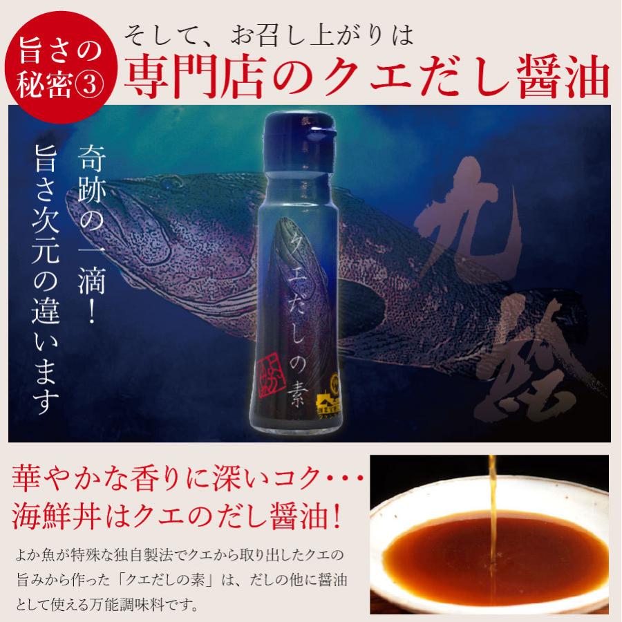 お中元 2022 69%以上節約 長崎産天然クエと真鯛の海鮮丼セット クエだし醤油付き 産地グルメ クエ刺身 プロトン冷凍 鯛刺身 よか魚イチオシ お中元 2022 69%以上節約 長崎産天然クエと真鯛の海鮮丼セット クエだし醤油付き 産地グルメ クエ刺身 プロトン冷凍 鯛刺身 よか魚イチオシ