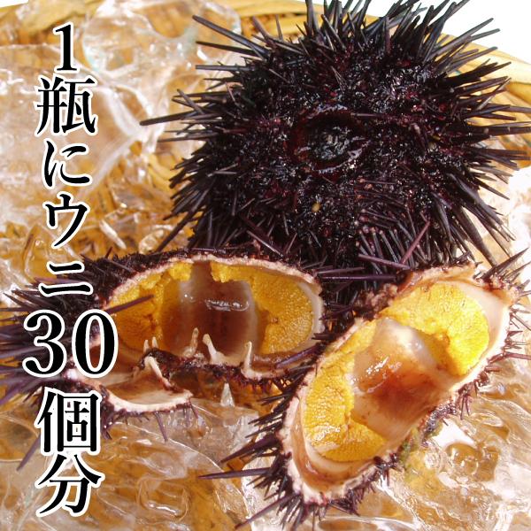独創的 食べれば納得絶品純粋塩うに 2本詰め合わせ ムラサキウニ ギフト 1本 70g Materialworldblog Com