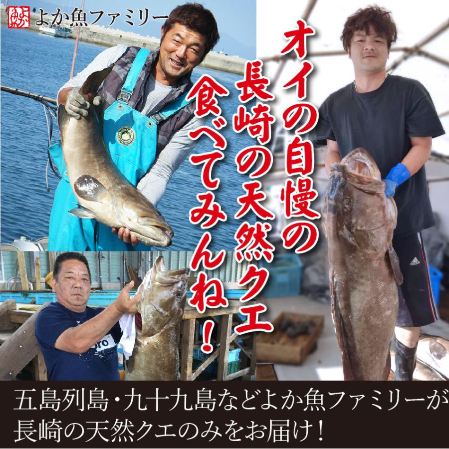 鍋の王様天然クエ鍋 お刺身セット 送料無料 クエだしの素又はクエスープが選べる 最高級品くえ使用 Nabe Kue 006 よか魚 Com 通販 Yahoo ショッピング