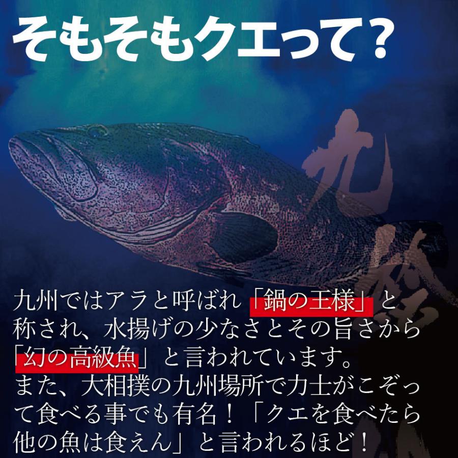 鍋の王様天然クエ鍋 お刺身セット 送料無料 クエだしの素又はクエスープが選べる 最高級品くえ使用 よか魚丸得 Nabe Kue 006 よか魚 Com 通販 Yahoo ショッピング