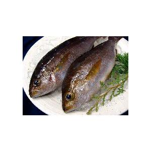 よか魚天然鮮魚ボックス4000 産直新鮮！社長イチ押し鮮魚セット 