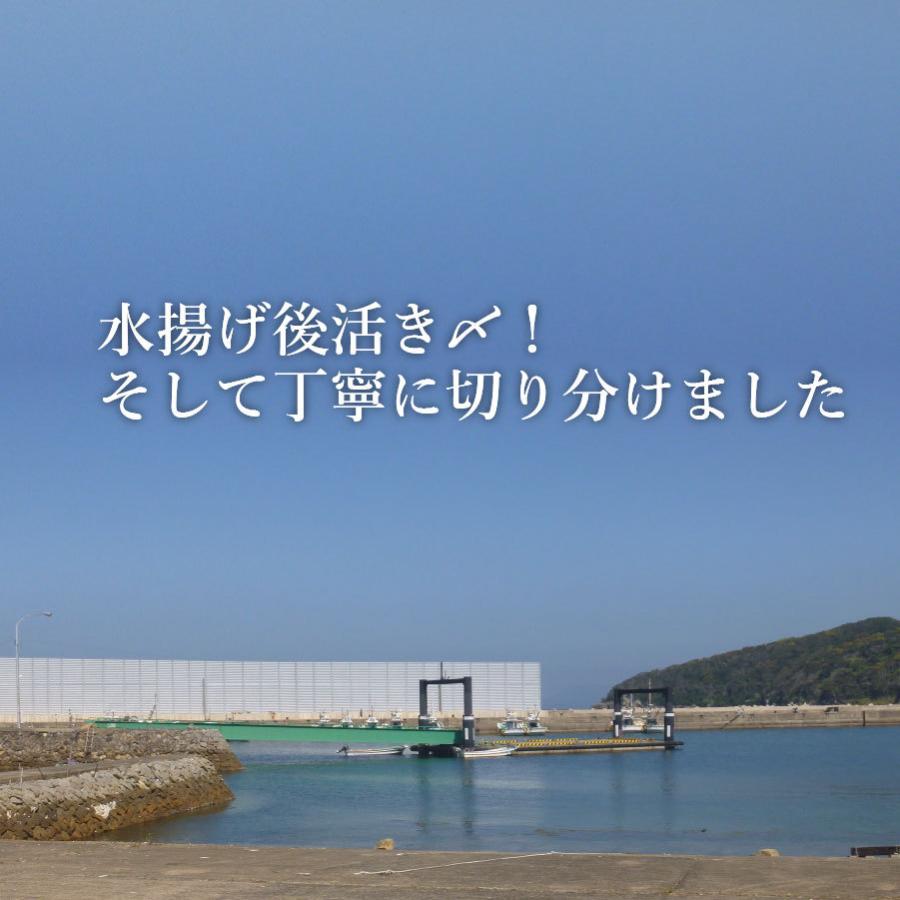 父の日 ギフト 九十九島よか魚のおまかせ海鮮丼5食セット クエだし醤油付き 産地グルメ 真鯛 海鮮丼 プロトン 父の日 ギフト｜yokasakana｜07