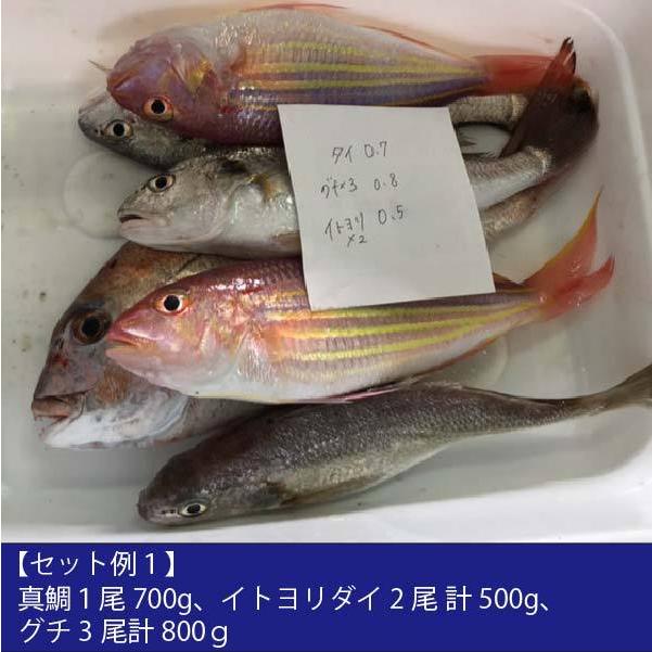 よか魚のお試し新鮮鮮魚セット 初回限定 鮮度抜群 おためし鮮魚 Ot1 よか魚 Com 通販 Yahoo ショッピング