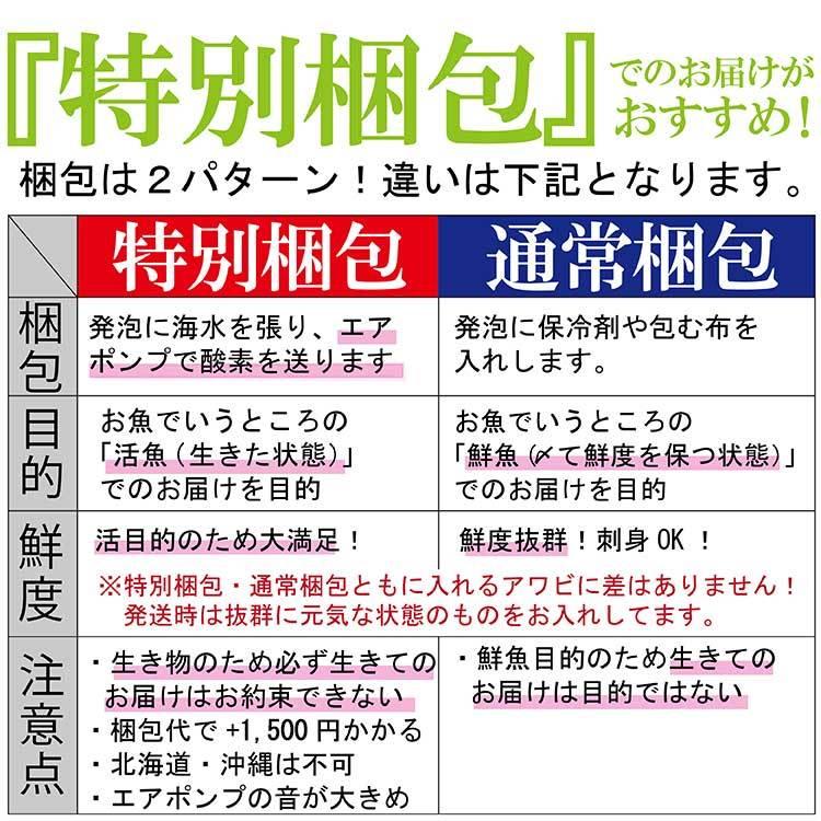 禁漁期 予約受付中 12 25より順次発送 天然黒アワビ 計500g 1枚130g 190g前後 九十九島の豊かな海で育ちました 元気いただきますプロジェクト 水産物 S500m よか魚 Com 通販 Yahoo ショッピング