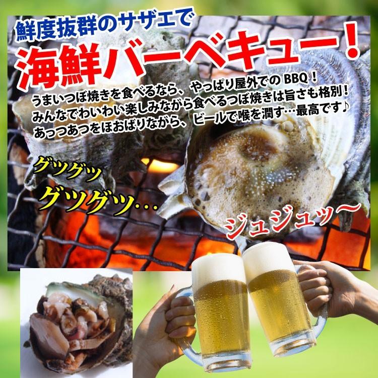 産直 天然サザエ 特大サイズ 計1.5kg（8個前後） 長崎産の質の高い活