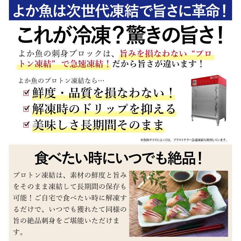 ヒラマサ 養殖 刺身用ブロック500g 3人前前後 次世代冷凍で冷蔵と変わらない旨さ Shun307 Hirasu よか魚 Com 通販 Yahoo ショッピング
