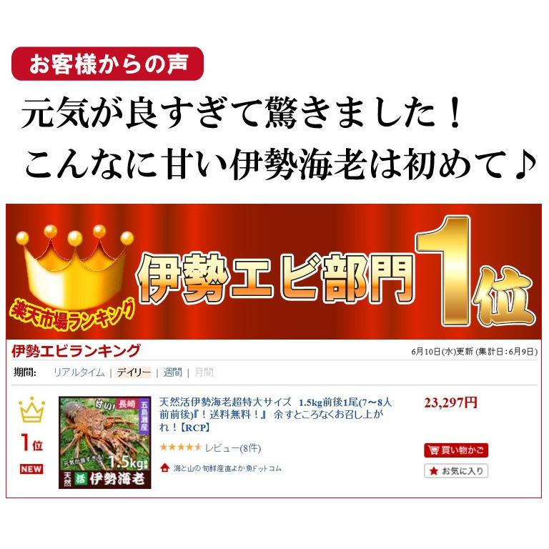 年内・年始お届け受付終了】産直 長崎産天然活伊勢海老 特大