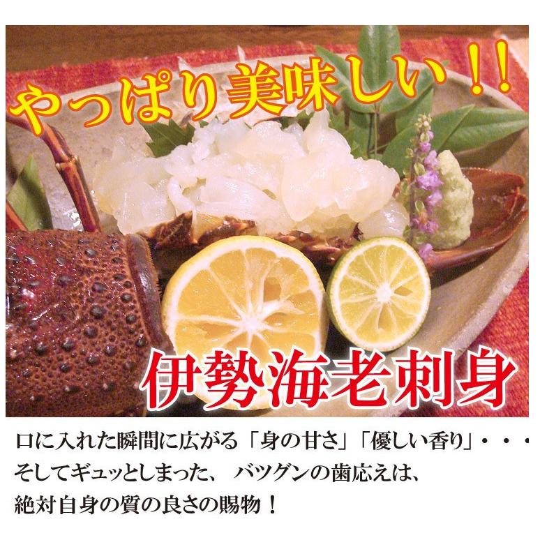 伊勢海老 伊豆産 約2㎏ 本日限定 C02-E43 活〆冷凍伊勢海老 1.2kg - 千葉県長生村｜ふるさと