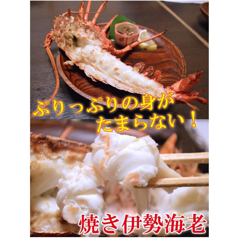 冷凍伊勢海老2キロ送料込15000円‼️おおよそのサイズ指定可能の為激安‼️ 楽天市場】【ふるさと納税】生冷凍 伊勢海老 2尾 1kg 冷凍 国産