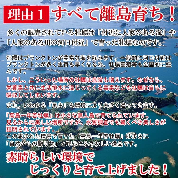 【24年12月1日よりお届け開始予定】高島一年若牡蠣（殻付き）計3kg(30個前後) もちろん生食OK！真牡蠣 九十九島かき 牡蠣 殻付き 生食 生牡蠣｜yokasakana｜13