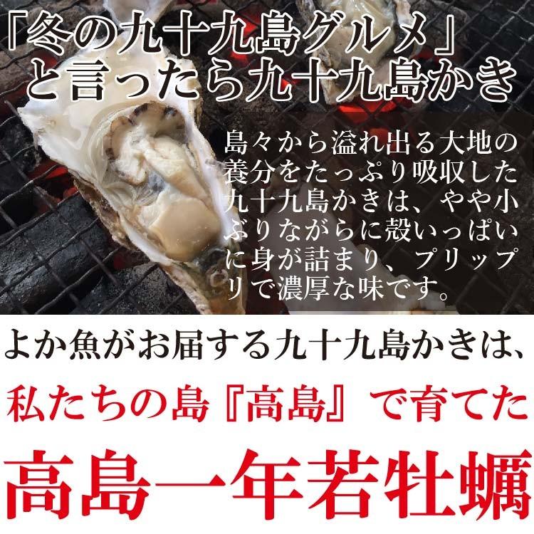 【24年12月1日よりお届け開始予定】高島一年若牡蠣（殻付き）計3kg(30個前後) もちろん生食OK！真牡蠣 九十九島かき 牡蠣 殻付き 生食 生牡蠣｜yokasakana｜04