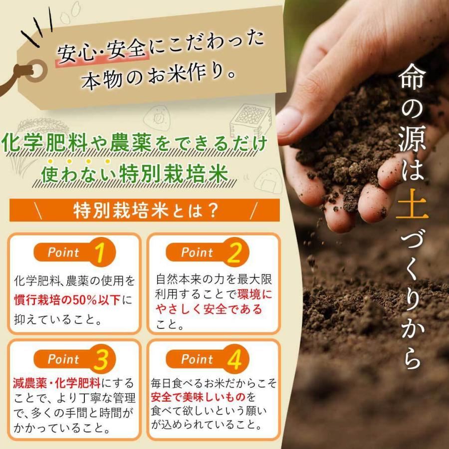 特別栽培米】令和6年産 熊本県産こだわり七城米 ヒノヒカリ 特別栽培米】令和6年産 熊本県産こだわり七城米 ヒノヒカリ