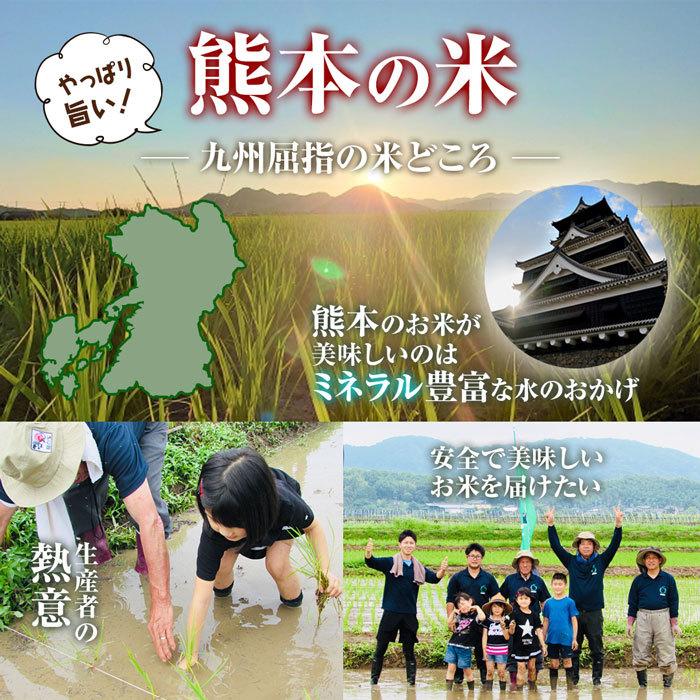 令和5年　熊本県城北産ヒノヒカリ　玄米30kg(10kg×3袋)/白米27kg　送料無料　九州産米　米30kg　送料無料　30kg/お米/熊本県産/玄米30kg｜yokayokamai｜02