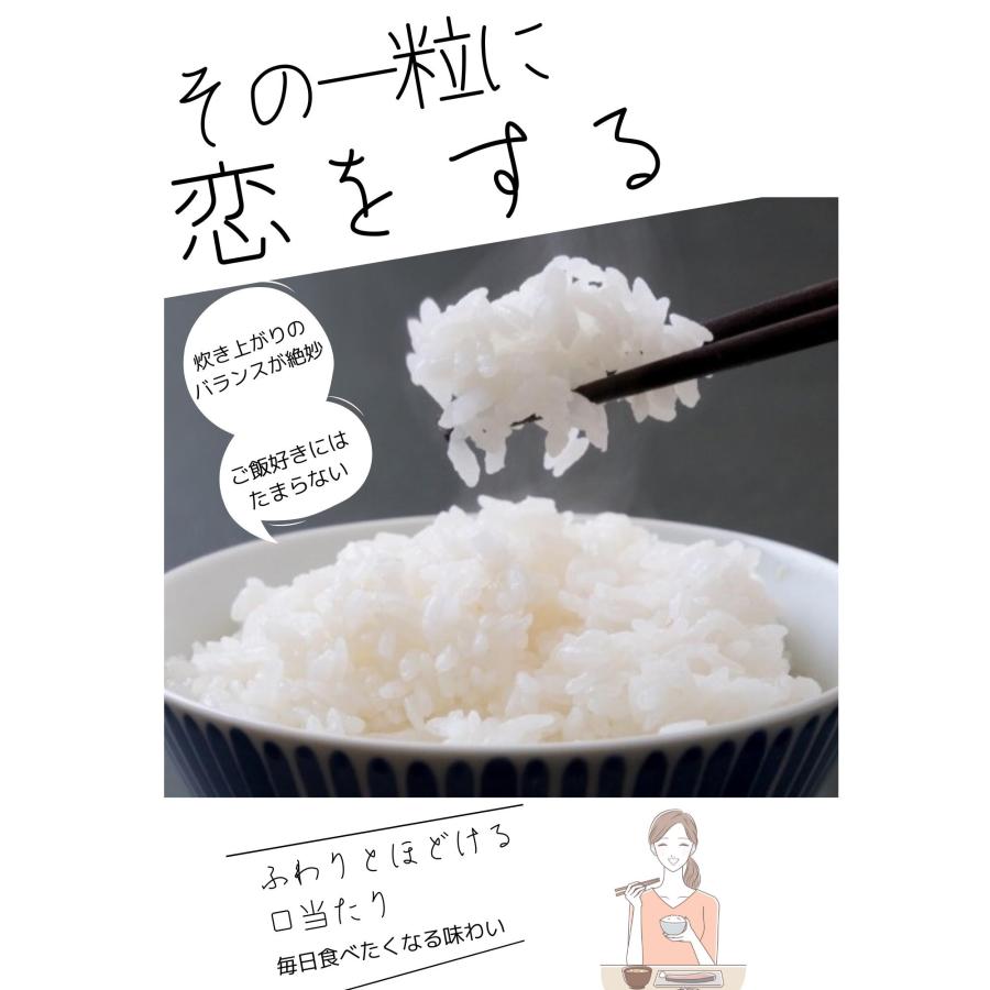 令和5年　熊本県城北産ヒノヒカリ　玄米30kg(10kg×3袋)/白米27kg　送料無料　九州産米　米30kg　送料無料　30kg/お米/熊本県産/玄米30kg｜yokayokamai｜05