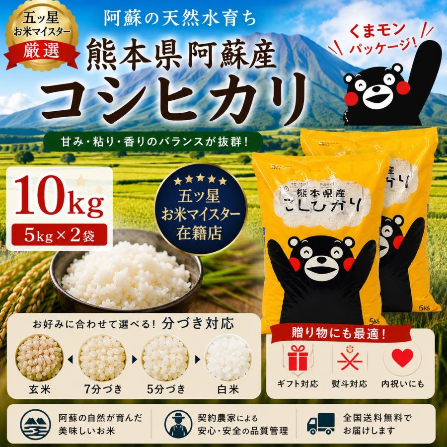 コシヒカリ 米10kg 令和7年 熊本県阿蘇産コシヒカリ精白米10kg(5kg×2袋