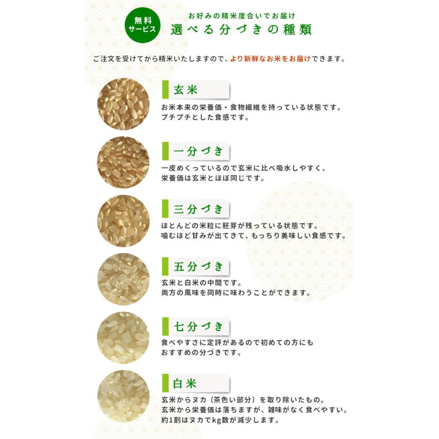 ミルキークイーン 令和6年産 米 30kg 精米度合い対応 熊本県阿蘇 ミルキークイーン 令和6年産 米 30kg 精米度合い対応 熊本県阿蘇