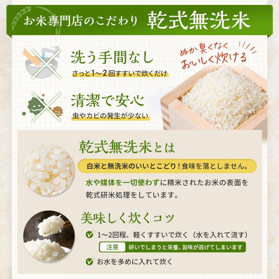森のくまさん 【無洗米】令和4年産米 熊本県産森のくまさん 無 森のくまさん 【無洗米】令和4年産米 熊本県産森のくまさん 無