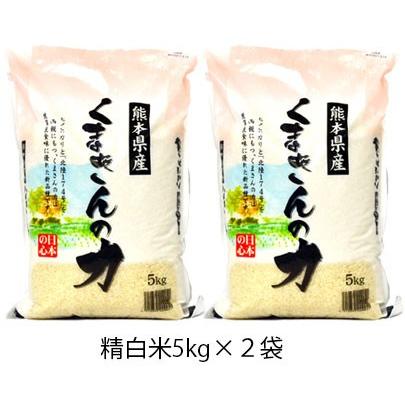 米　10kg  熊本県産 令和4年産米 熊本県産くまさんの力 白米10kg(5kg×2袋) : 九州