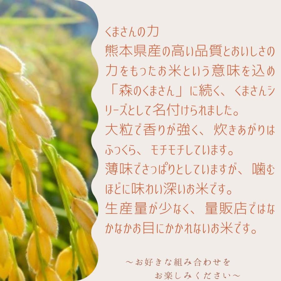 令和４年産米　熊本県産くまさんの力　白米10kg(5kg×2袋)　｜yokayokamai｜05