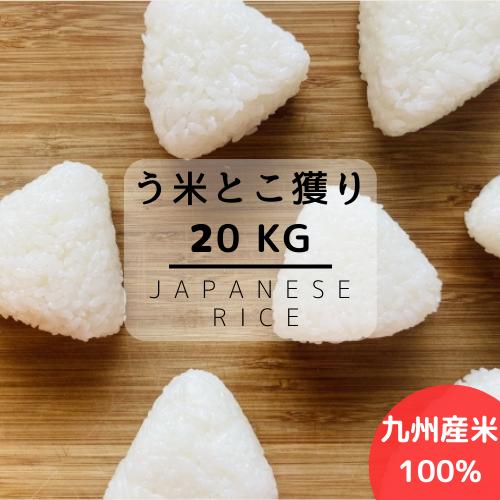 送料無料】数量限定 生活応援価格 令和4年産 九州産米 う米とこ 送料無料】数量限定 生活応援価格 令和4年産 九州産米 う米とこ