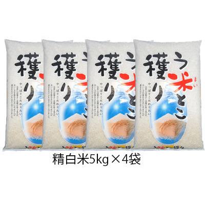 送料無料】数量限定 生活応援価格 令和4年産 九州産米 う米とこ 送料無料】数量限定 生活応援価格 令和4年産 九州産米 う米とこ