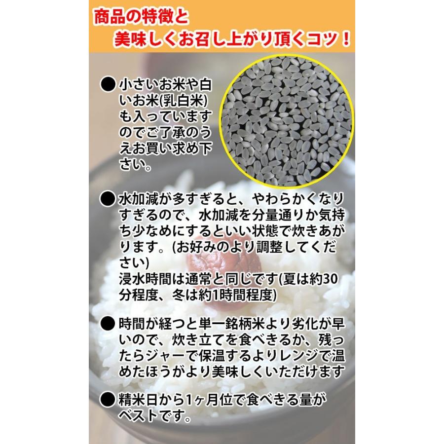 五ツ星マイスター厳選 令和5年産入り 九州産米 う米とこ獲り 五ツ星マイスター厳選 令和5年産入り 九州産米 う米とこ獲り