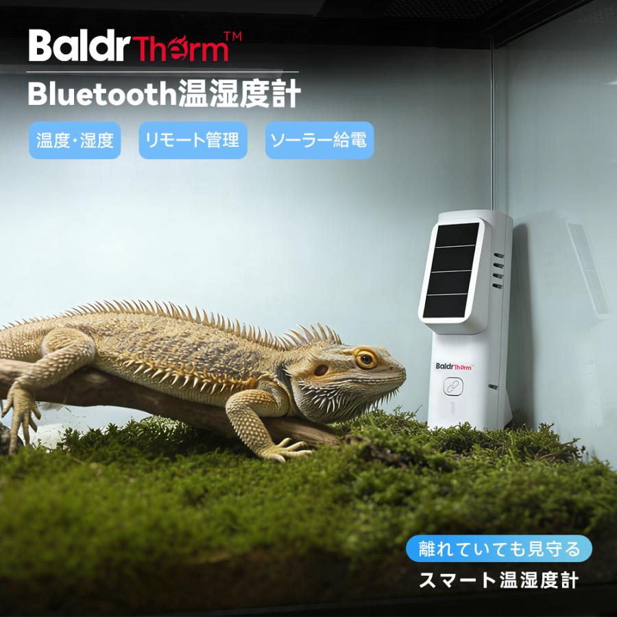 BaldrTherm ソーラー温湿度計 デジタル温湿度計 Bluetooth温湿度計 省エネ スマート家電 湿度計 温度計 アプリ遠隔操作 精度 ペット 熱中症 インフルエンザ 爆買（Yahoo!・YOKEN）