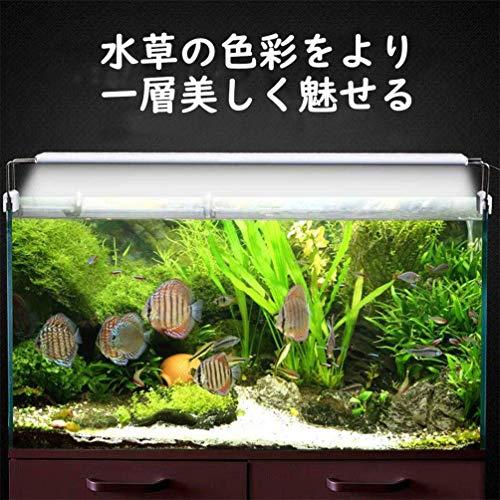 Ledgle 水槽ライト Ledアクアリウムライト 10w 39個led 50 60cm対応 熱帯魚 観賞魚飼育 水草育成 水槽照明用 省エネ 長寿命 39led灯 Wss 21wlskjb47pj ヨコブンオンライン 通販 Yahoo ショッピング