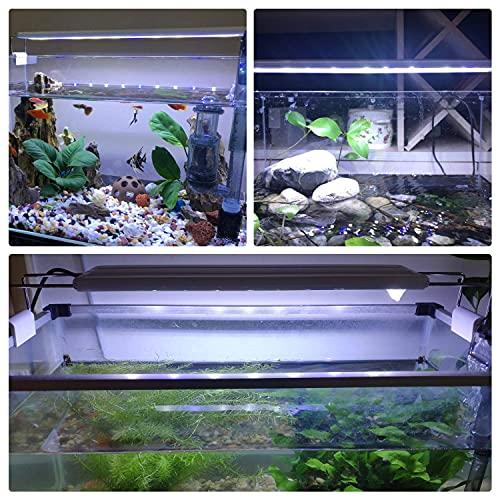 Ledgle 水槽ライト Ledアクアリウムライト 10w 39個led 50 60cm対応 熱帯魚 観賞魚飼育 水草育成 水槽照明用 省エネ 長寿命 39led灯 Wss 21wlskjb47pj ヨコブンオンライン 通販 Yahoo ショッピング
