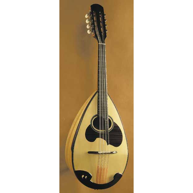 トラディショナルウェザーウエア 【ハードケース付】 スズキ