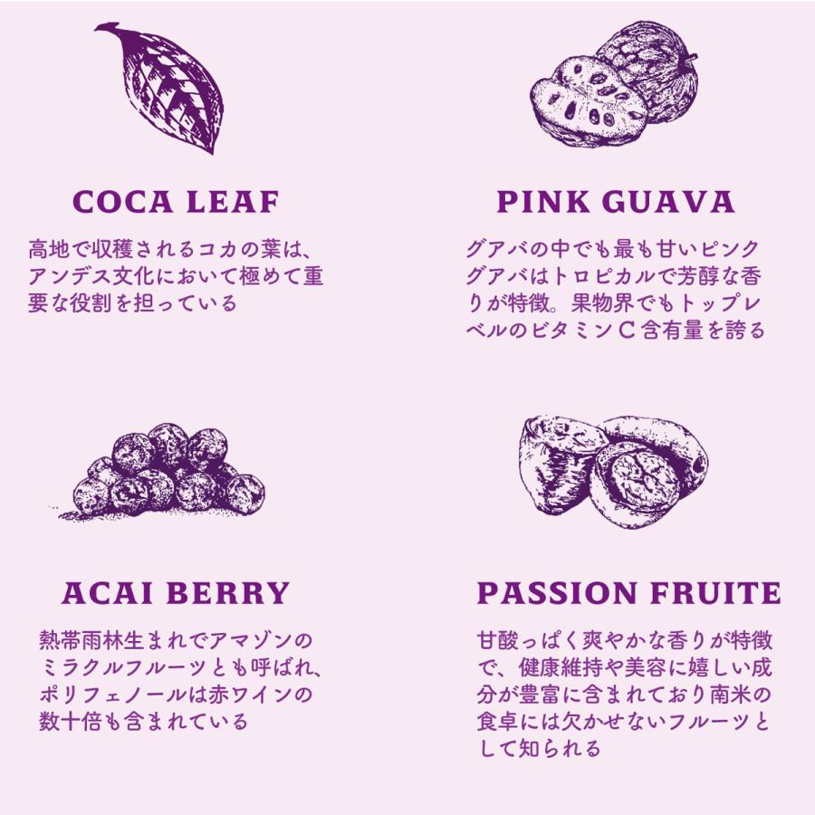 Cocalero VIDA(コカレロ・ヴィーダ) 700ml リキュール 22% 南米