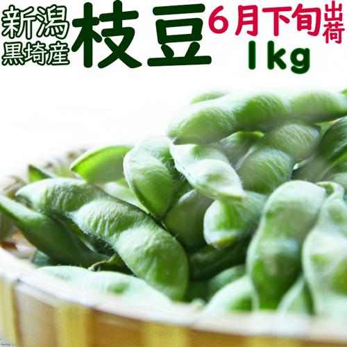 【thikaさん専用】新潟黒埼産枝豆　おつな姫A品2kg B品2kg 特別価格】黒埼産枝豆2kg｜新潟の通販サイト「ガタ市」