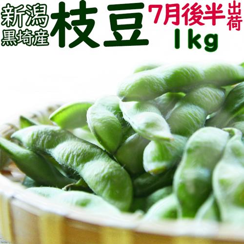 【なしゅそ　金曜発送】新潟黒埼産 枝豆 A品 5kg 本場 黒埼枝豆 A級品 新潟 黒埼産 1kg「黒埼枝豆」朝どり枝豆 生