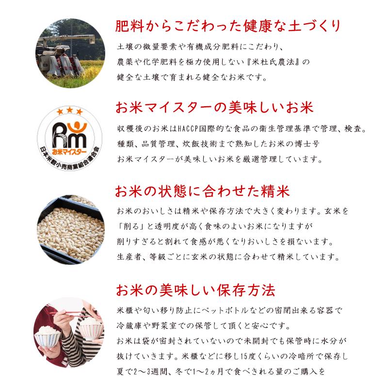 コシヒカリ 新潟三大コシヒカリ 佐渡産こしひかり 10kg (5kgx2) 米杜氏